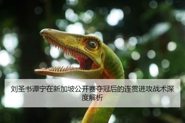 刘圣书谭宁在新加坡公开赛夺冠后的连贯进攻战术深度解析