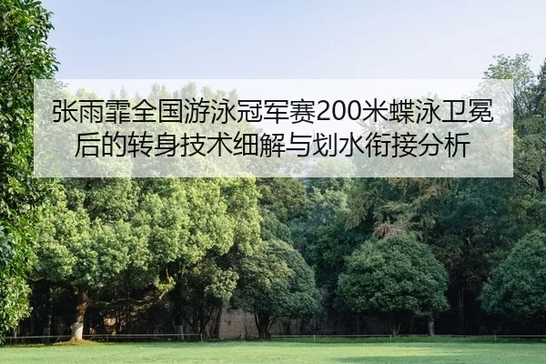 张雨霏全国游泳冠军赛200米蝶泳卫冕后的转身技术细解与划水衔接分析